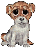 hond animéiert-biller-gif
